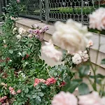 Willawawel - Loftaffair Collection